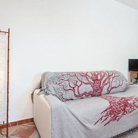 Holiday House Li Piri San Teodoro  Exterior photo